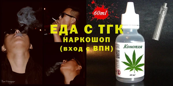 дживик Елабуга