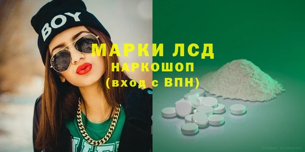 дживик Елабуга
