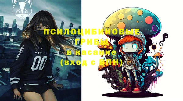 дживик Елабуга