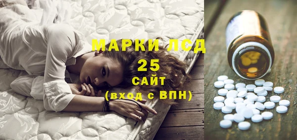 дживик Елабуга