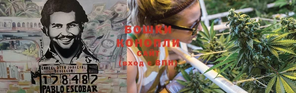 дживик Елабуга
