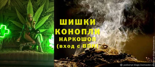 дживик Елабуга