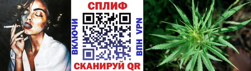 Купить где  Канаш  Бошки Шишки планчик 